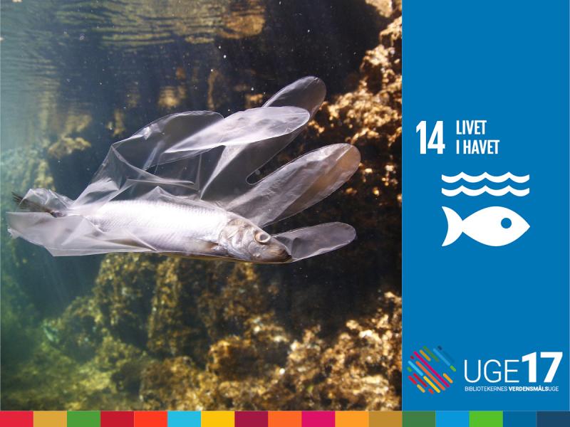 FNs verdensmål 14: Livet i havet