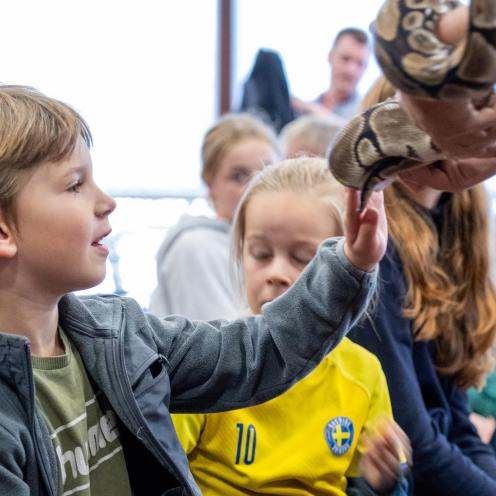 Theo rører ved en slange